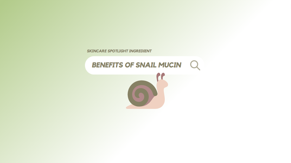 Skincare Ingredient Spotlight: Benefits of Snail Mucin π - Skin Cupid