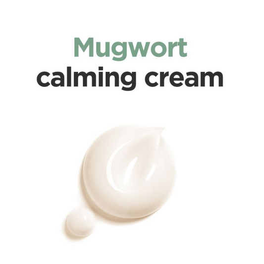 ISNTREE Mugwort Calming Cream (50ml) Texture